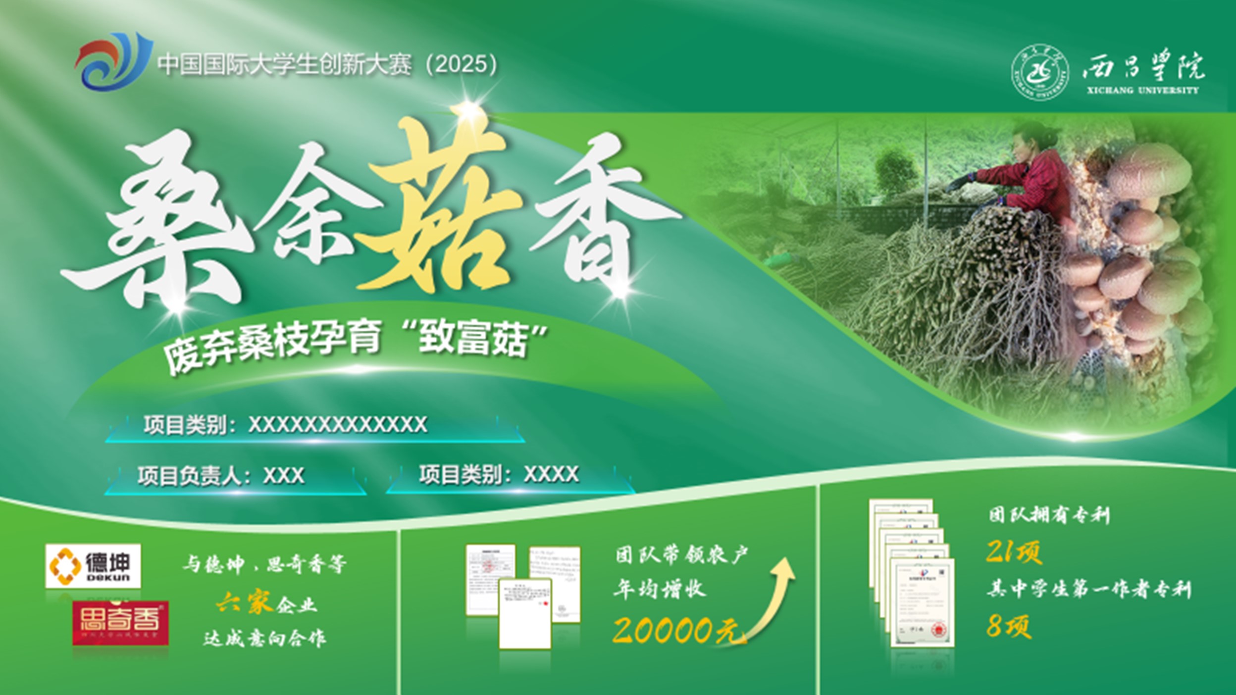 创业大赛PPT案例（桑余菇香）